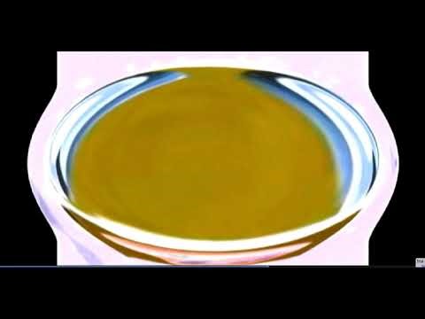 I Love The G Major 74 (10 Exports/Apponfly Version)