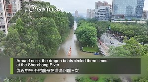 #Guangdong | On the morning of June 6th, #dragonboat teams from Shipai Village and other villages in Tianhe District, #Guangzhou, set off from Liede Water Gate and sailed down the Pearl River to visit relatives and friends in the neighboring Zhucun Village. According to tradition, the first day of the fifth lunar month was the Shenchong dragon boat visit and gathering in Zhucun Village. During this event, dragon boat teams from neighboring villages would visit Zhucun Village. #Culture #GBA https