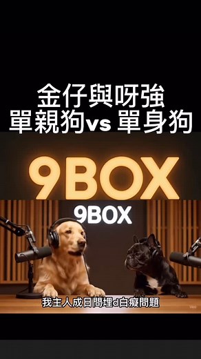 唔知金仔仲有咩可以講佢主人d 咩壞話呢？ 9BOX 製作 9BOX 小編傾情配音 9box 不只是驚喜，而是有質量的陪伴❤️(如果唔係 佢又講你壞話嫁喇🤣） 即刻上9boxhk.com 訂購/訂閱9box 盲盒喇💕 #9post #狗盲盒 #狗禮盒 #furryfriends #dog #Pets #Petstagram #InstaPets #PetLovers #PetOfTheDay #petgifts #DogsofInstagram #CatsofInstagram #Animals #DogLovers #CatLovers #PetPhotography #香港寵物 #寵物香港 #HKPets #寵物日常 #香港狗狗- #寵物禮物 #寵物生活 #香港寵物店 #香港 | 9BOX