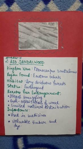 Red data book.Endangered flora and fauna of India. Sst/science project #endangered #project #school