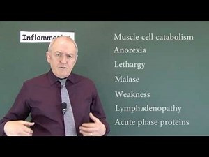 Inflammation 5, Systemic Inflammatory Effects
