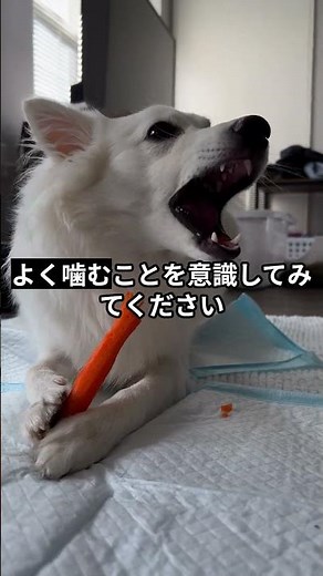 食事でできる小さな習慣｜よく噛むことを意識してみる