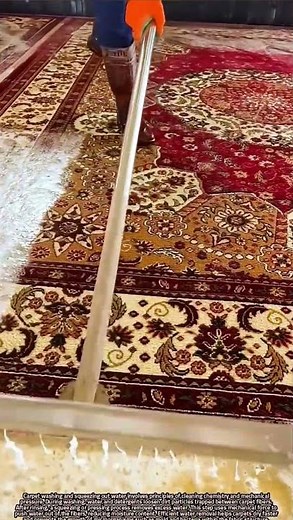 Scientific Explanation of Carpet Washing and Water Extraction Process