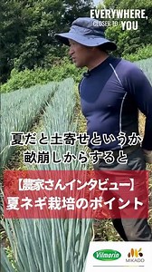 [Professional Farmers] What is the most important thing to keep in mind when growing summer onion...