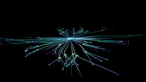 Animation Growing Spreading Branching Colorful Ai Stock Footage Video (100% Royalty-free) 3652397297 | Shutterstock