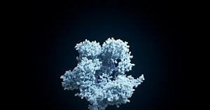 NOVA | Human Nature | Season 47 | Episode 11