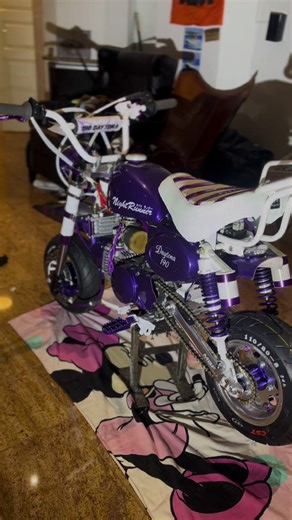 Osien Maalaukset: Säästä Alennuksella!