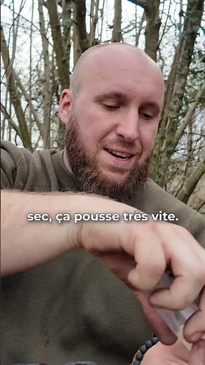 We sow Moringa: the Tree of Life