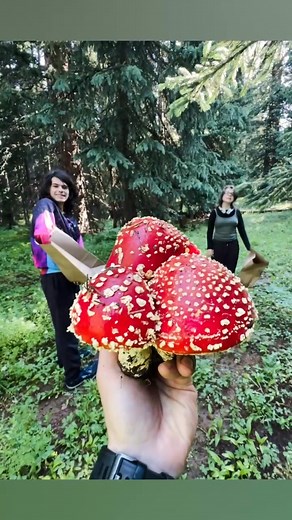 This dude right here Quite the adventure and struggle buddy . Forever my ride or die. Fun fact. He Willingly joined and adamantly pushed me through a 603 day run streak (atleast a Mile a day). Through moving, after hikes, being houseless and even with COVID and flus . We ran He has been a steady wind in my sail since he arrived in this world. I can very happily wait to see where he will grow. Time sneaks away all too fast. Excited non the less and even though he can get on my ever lovin nerves. 