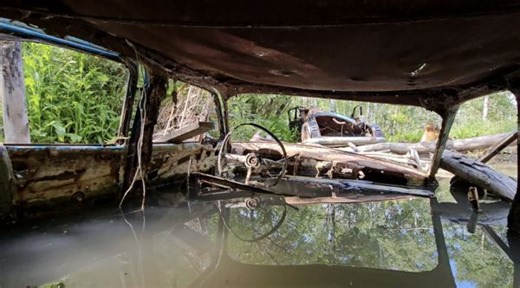 Skip the mountains and save on gas with these unique Calgary trails - The Weather Network