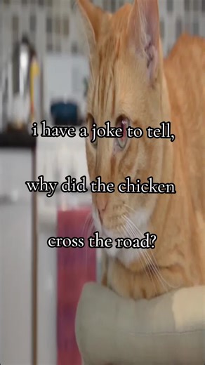 Why Did the Chicken Cross the Road? A Funny Joke