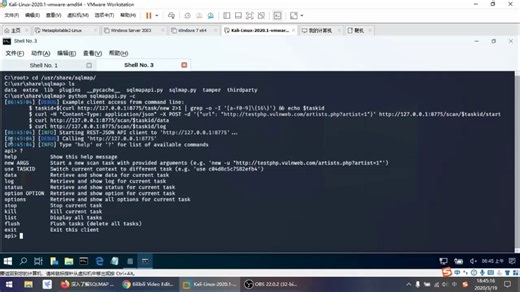 【学习分享】sqlmap中的api使用