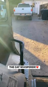 Arizona delivery… but make it CAT. 🐱📦 Driver Nadie rolled up today and got greeted by a Siamese cat who clearly missed the memo that cats are supposed to act “cool.” This little furball came running up like a dog, rolling around asking for belly rubs, attention, and probably a signature on the handheld 😂 Just think of it as a delivery for a cat that acts like a dog… and judging by the way this kitty showed up, the cats definitely heard something through the grapevine about UPS drivers carryin