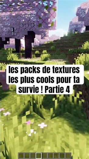 Voici les packs de textures les plus cools pour ta survie ! #texturapackff #gaming #minecraftfr