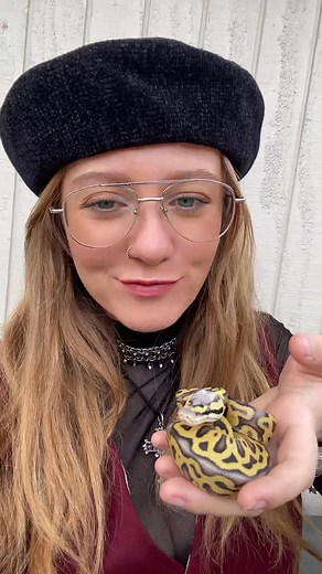 Cecilia the Ball Python: A Heartwarming Throwback
