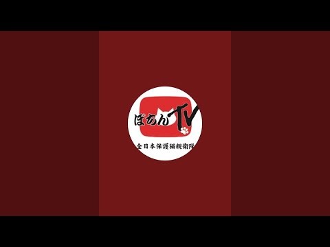 ぼちんTV がライブ配信中！