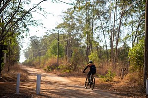 Nascentes, fauna e flora: saiba a importância da Flona para o DF