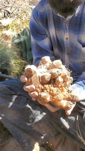 The moment Mineral X and I knew we were into something epic 💎 | Colorado Geology