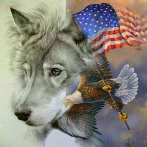 Small wolves n eagles slide Show | Wolves and wolfpuppys