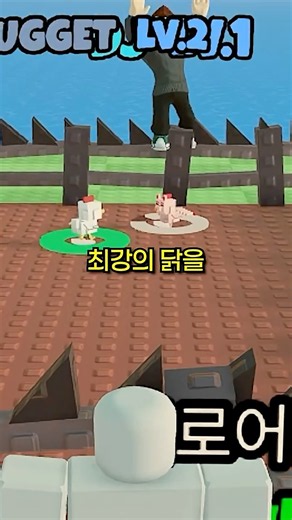 최강의 닭을 만들자 #로블록스