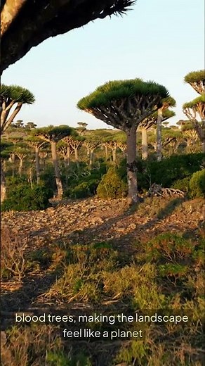 Places That Don't Feel Real #Shorts