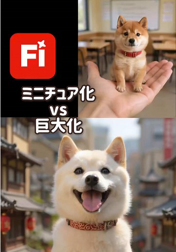 豆柴夫婦のミニチュア化と巨大化の楽しみ