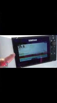 Ledge Fishing Tampa Bay