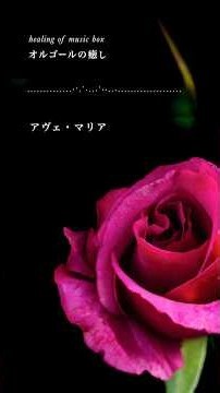 【癒しオルゴール】アヴェ・マリア・カッチーニ （高音・キラキラ）【Relaxing Music Box】Caccini- Ave Maria（High-pitch, sparkling version