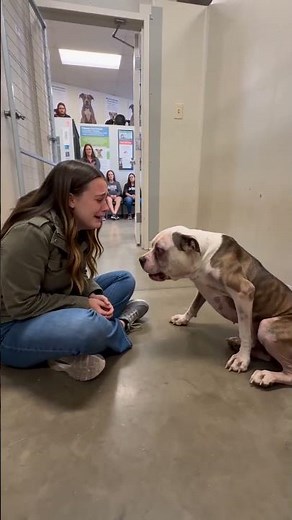 Emotional reunion between a young woman and her dog at shelter