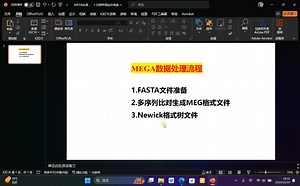 1.FASTA文件准备