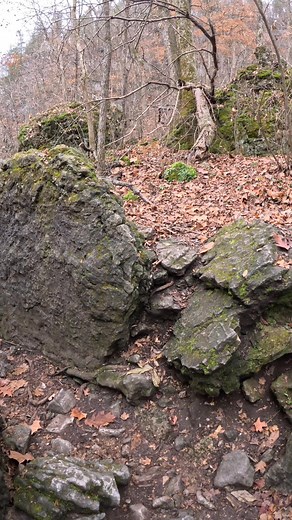 73K views · 1.2K reactions | I love when you get to walk through stuff like this. This is a path to the spring at Ha Ha Tonka. This was our first time here and we loved it. This is in Camdenton Missouri. #nature #hikingadventures #ozarks #fallvibes | Show Me Creeks | Facebook