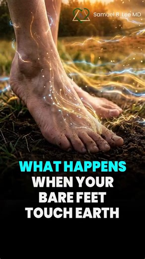 YOUR FEET ARE WI-FI ADAPTERS..(The earth is the original router)- Most people are still walking around unplugged from the planet. - Your bare feet are literally the plug. - The Earth’s surface is negatively charged. - Your body, overloaded by stress, screens, and shoes, becomes positively charged. - Touch the soil and you instantly neutralize static, download electrons, and recharge your entire system.- Benefits of grounding:1. Lowers inflammation + balances cortisol.2. Regulates circadian rhyth
