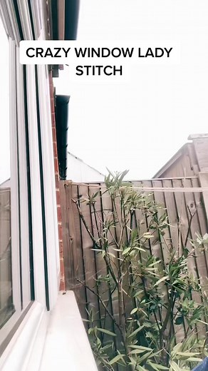 Crazy Window Lady Hanging Out the Window