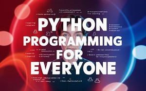 Python for Everyone Master the Basics of Programming....