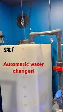 How I Do Automatic Water Changes on My Reef Tank #reeftank