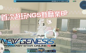 【PSO2：NGS】首次游玩NGS新职业BR!