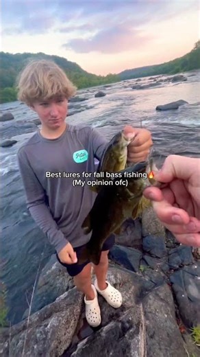 Best fall bass lures🔥 #shorts #fishing