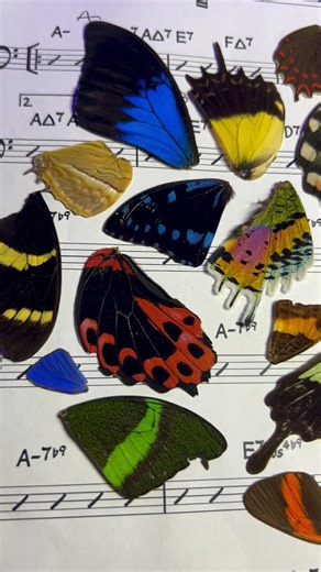 2.5K views · 28 reactions | Watch tariff fees make me pay DOUBLE for...