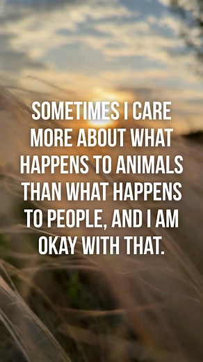 🔥 Sometimes I care more about what happens to animals than what happens to people, and I’m okay with that. Maybe that sounds harsh to some folks who’ve never had a dog curl up beside them on their worst night. Maybe it sounds strange to people who’ve never seen pure loyalty, pure innocence, pure devotion staring back at them with big brown eyes. But the older you get, the more you understand that love doesn’t always follow the rules society writes. Love follows truth — and animals carry a kind 