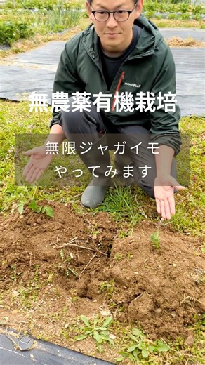 [Experiment] Unlimited potatoes! #homegardening