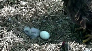 292K views · 6.9K reactions | TOO CUTE!: Check out this adorable...