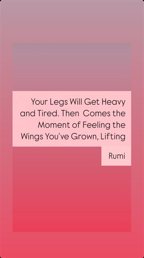 @paulapattonofficial on Instagram: "🪷🪷🪷🪷🪷"