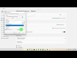 Windows 11 Home : How to Customize your mouse pointer Shape