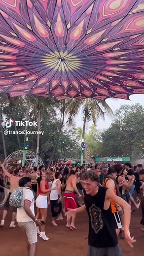 Green Nuns Of The Revolution: A Goa Trance Experience