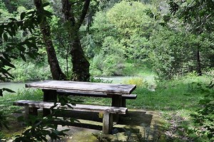 Coquille Myrtle Grove State Natural Site - Alchetron, the free social encyclopedia