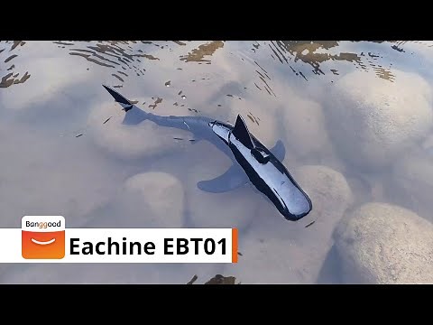 Eachine EBT01 RC Shark / Remote Control Shark Toy Pool Toy- Banggood RC Store
