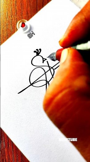 How to sign the letters S 😍?