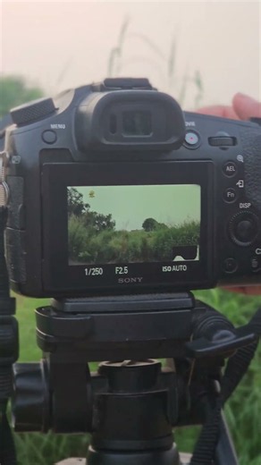 Sony RX10 IV 🔥 24-600mm Super Zoom Lens | Incredible Zoom Test 📸 #sonylens #sonycamera #sonye #sony