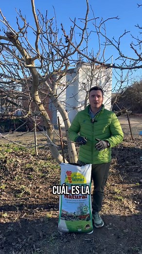 56K views · 668 reactions | Cuál es la mejor época para utilizar el mantillo? El mantillo es exclusivo para reservar césped resembrar las calvas que tienen nuestro césped vale para Huecar la tierra del huerto y para echar de cobertura en Frutales #viral #angelillescas #horticultura #parati #agricultura #viveros #horticulture #frutales #agriculture #plantas #invernaderos #cesped #viralvideos #fyp #trend #viverosviral #flores #fouryoupage | Viveros viral | Facebook