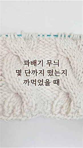꽈배기 무늬 단 수 세는 방법 😎✨ #뜨개질 #뜨개팁